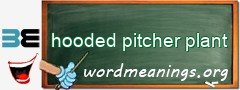 WordMeaning blackboard for hooded pitcher plant